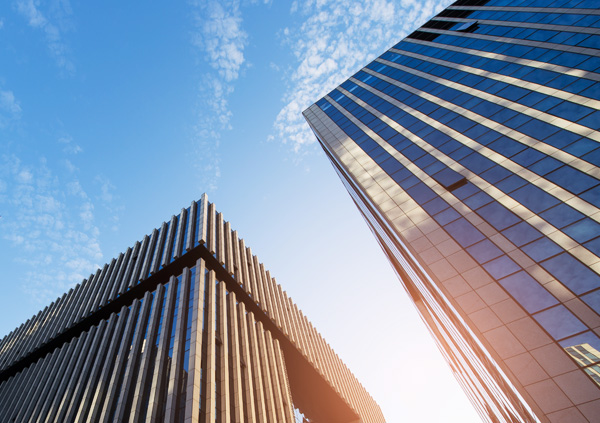 灵芝孢子粉价格